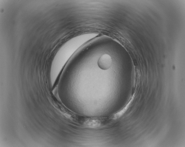 X0000068320174200604241348