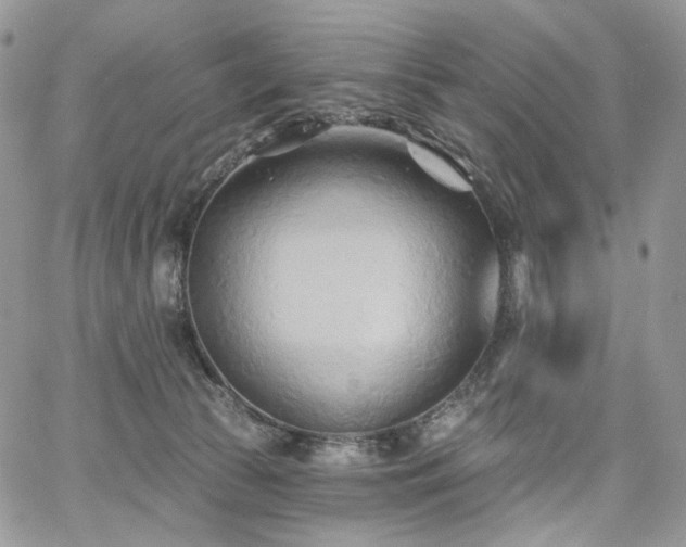 X0000068320177200604241348