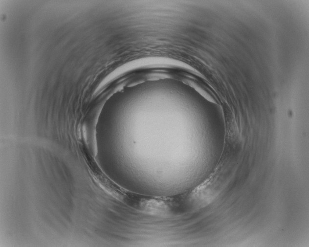 X0000068320180200604241348