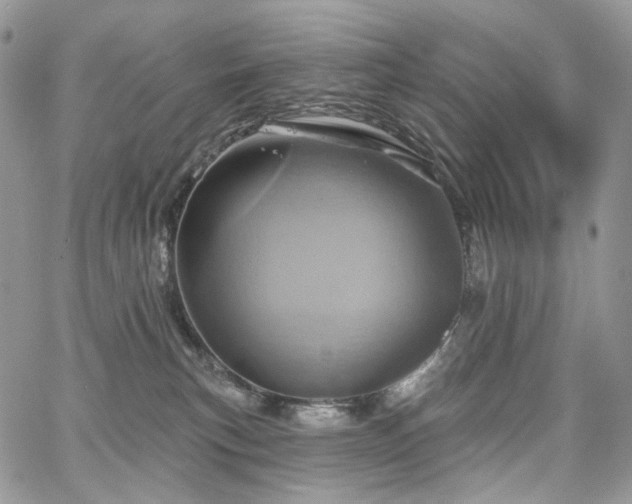 X0000068320183200604241348