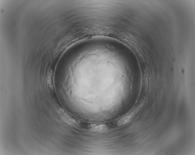 X0000068320185200604241348