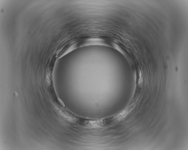 X0000068320188200604241348