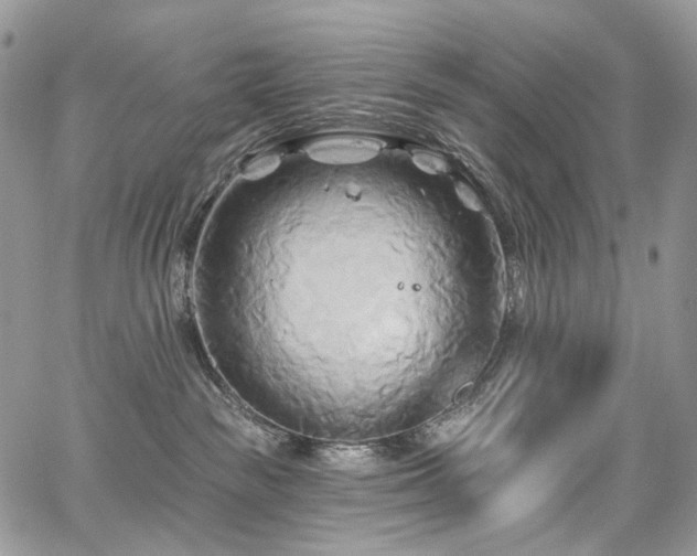 X0000068320189200604241348