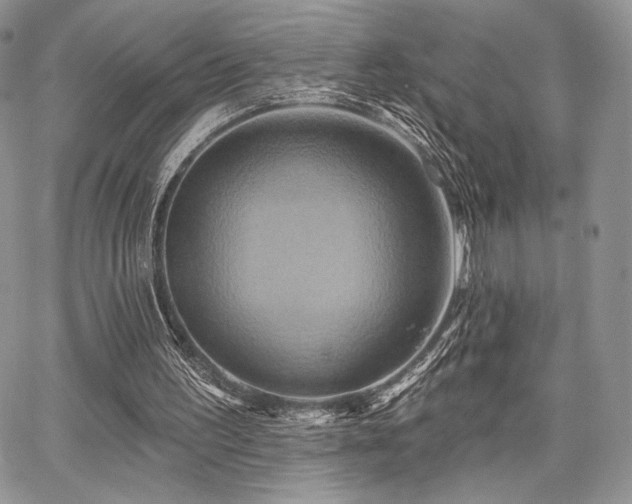 X0000068320195200604241347