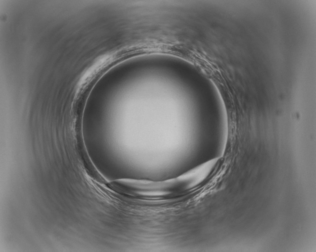X0000068320197200604241347