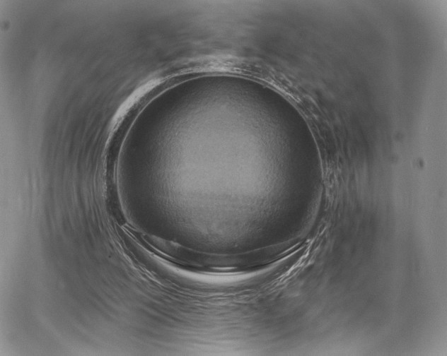 X0000068320200200604241347