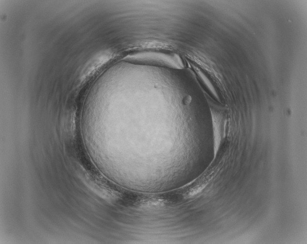 X0000068320206200604241347