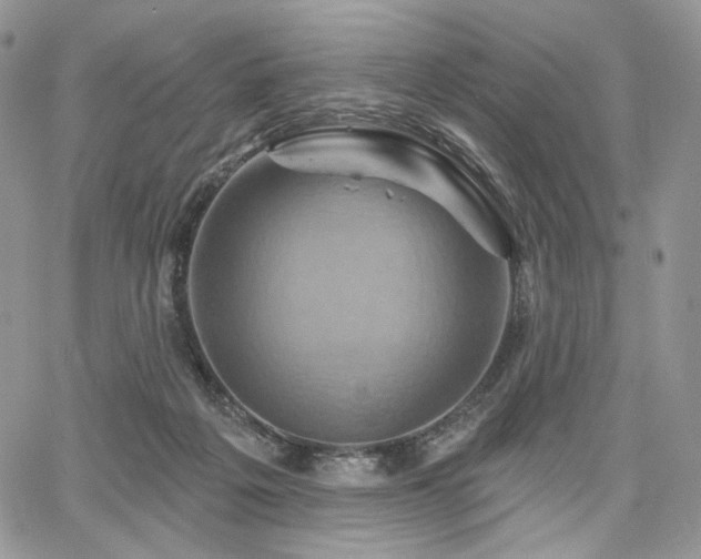 X0000068320217200604241347