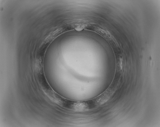 X0000068320218200604241347