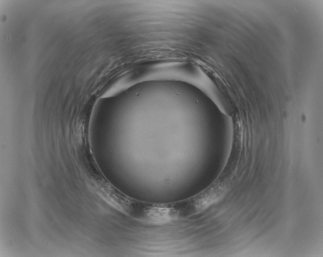 X0000068320227200604241347