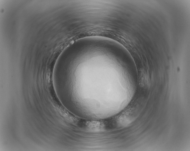 X0000068320230200604241347