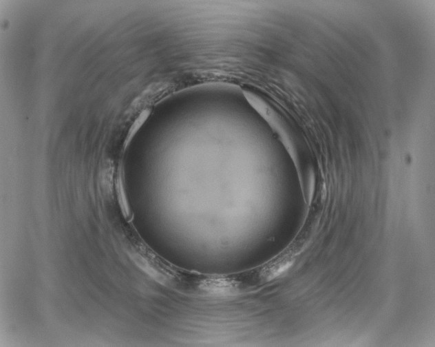 X0000068320231200604241347