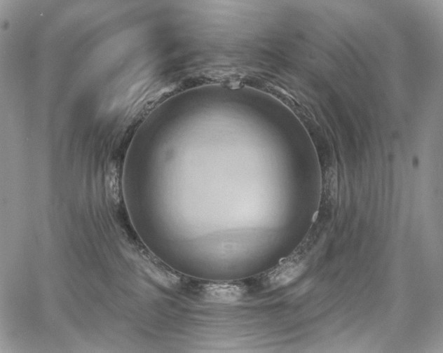 X0000068320234200604241346