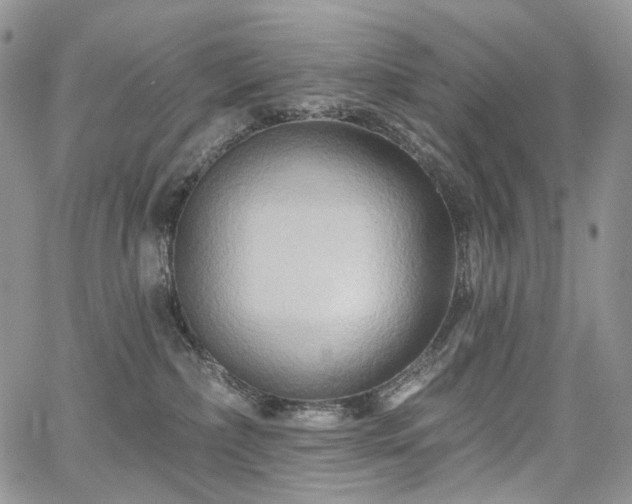 X0000068320236200604241346