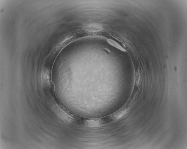 X0000068320238200604241346