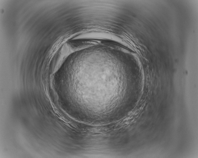 X0000068320241200604241346