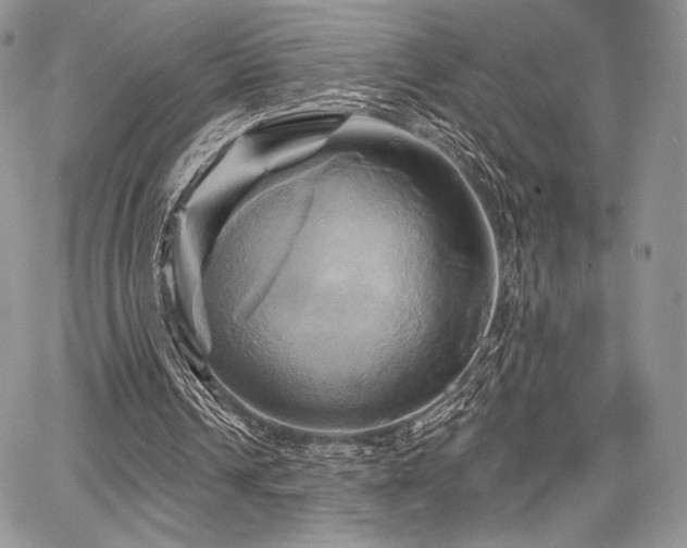 X0000068320242200604241346