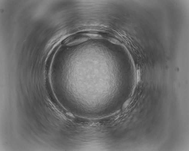 X0000068320243200604241346