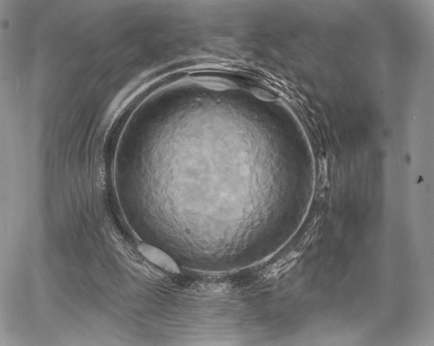 X0000068320247200604241346