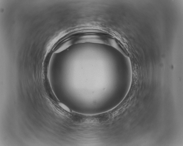 X0000068320248200604241346
