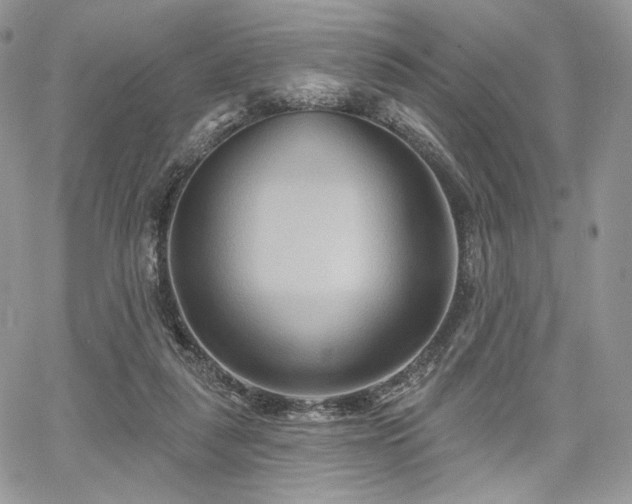 X0000068320259200604241346