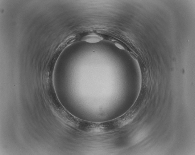 X0000068320263200604241346