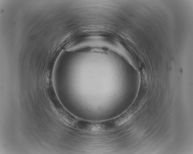 X0000068320264200604241346