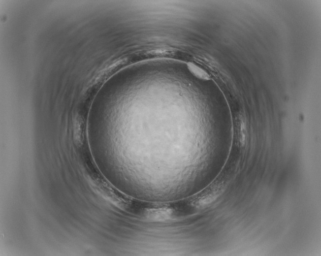 X0000068320266200604241346