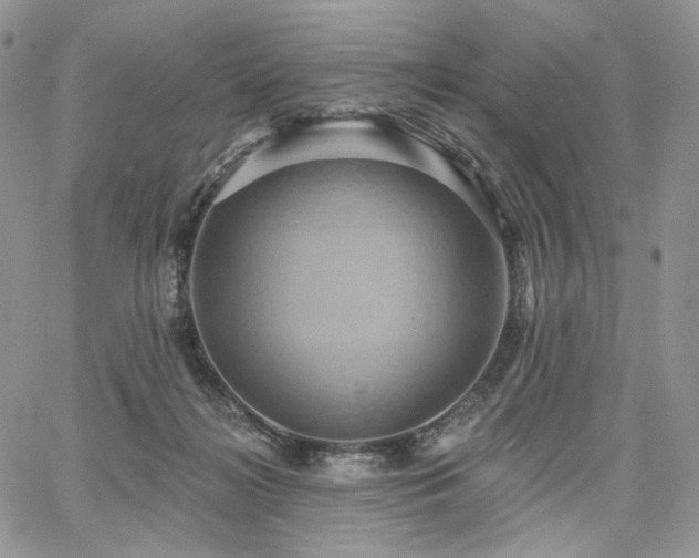 X0000068320268200604241346