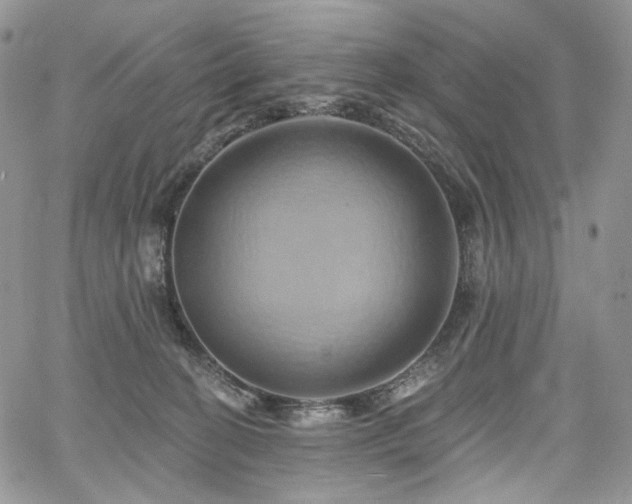 X0000068320274200604241346