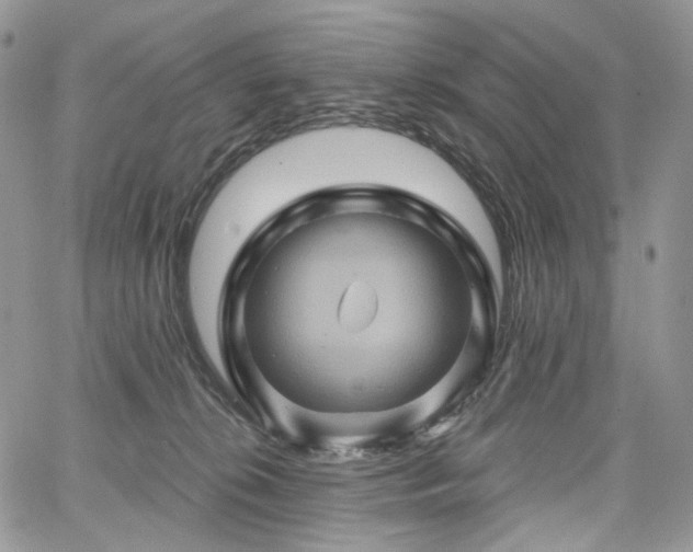 X0000068320276200604241346