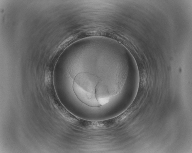 X0000068320278200604241346