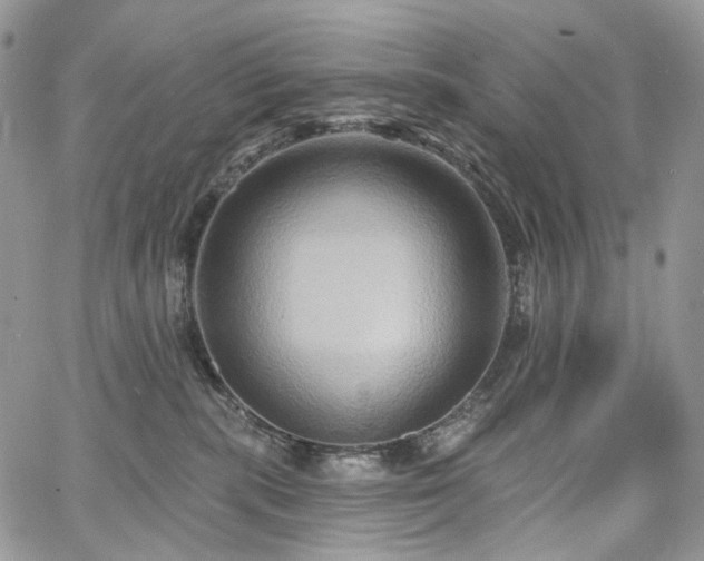 X0000068320283200604241346