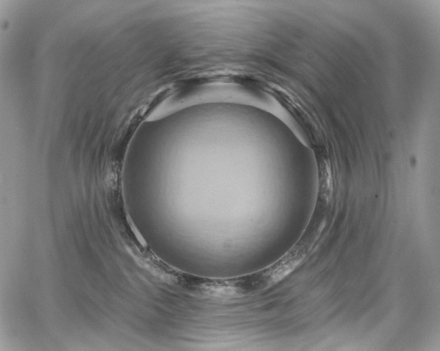 X0000068320284200604241346