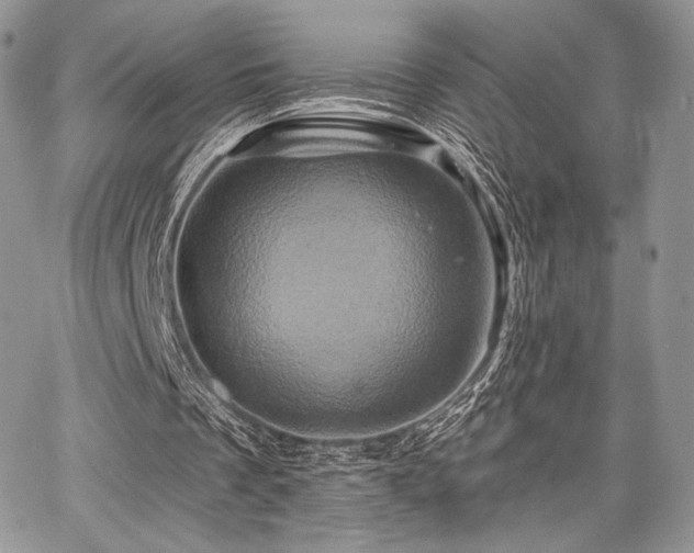 X0000068320289200604241346