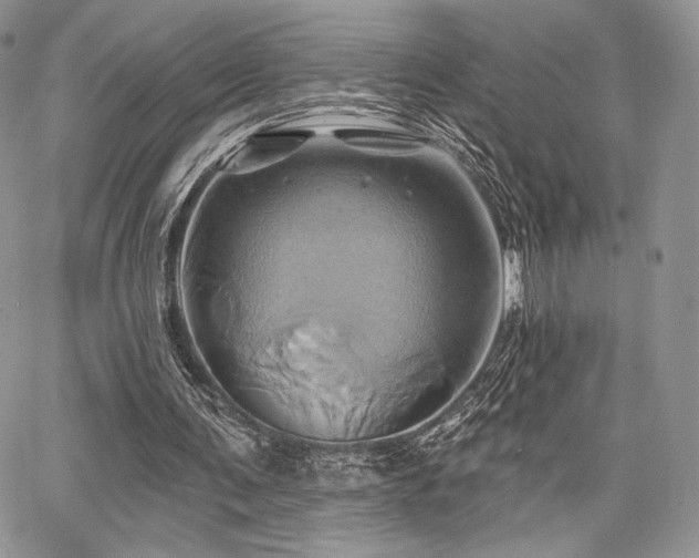X0000068320291200604241346