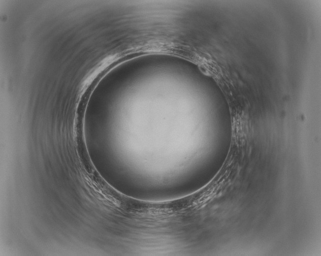 X0000068320292200604241346