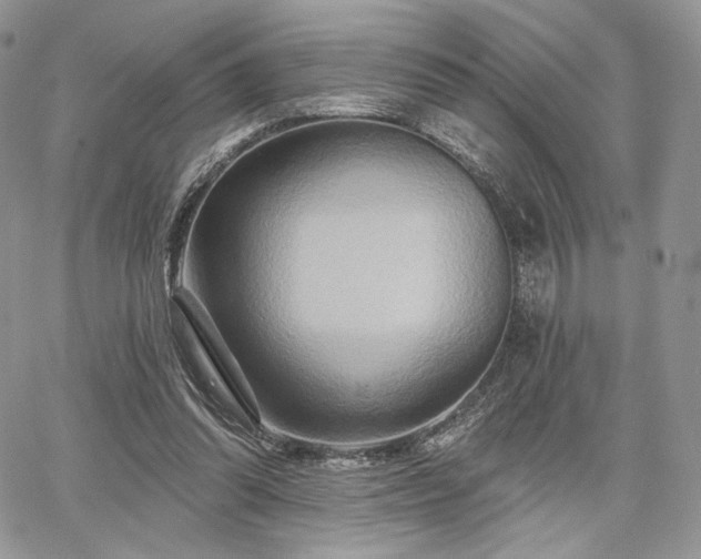 X0000068320302200604241345