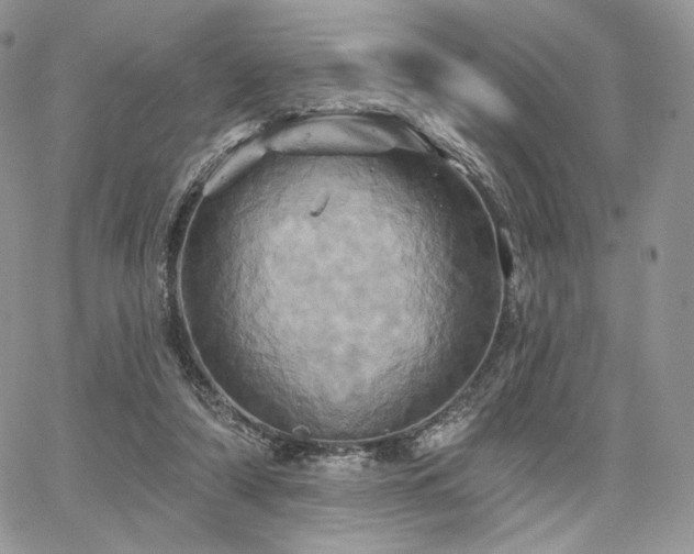 X0000068320306200604241345
