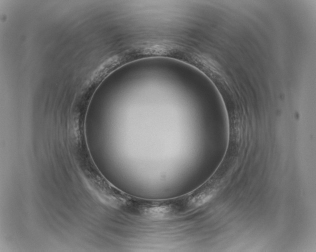 X0000068320312200604241345