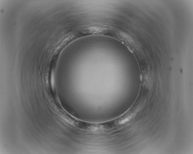 X0000068320317200604241345