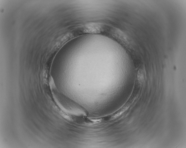 X0000068320322200604241345