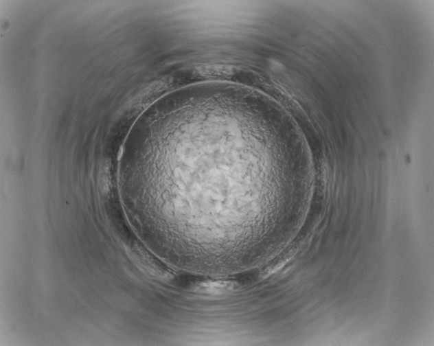 X0000068320323200604241345