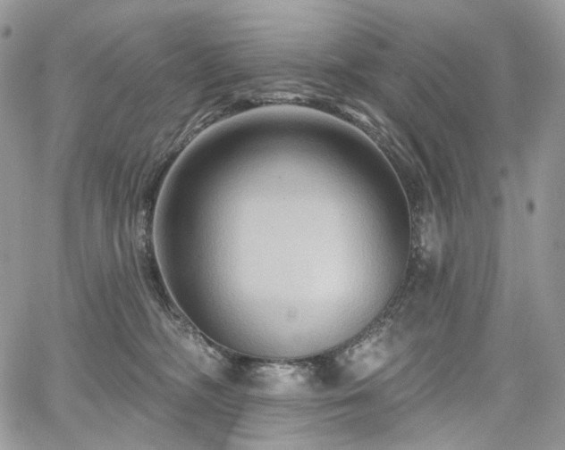 X0000068320326200604241345