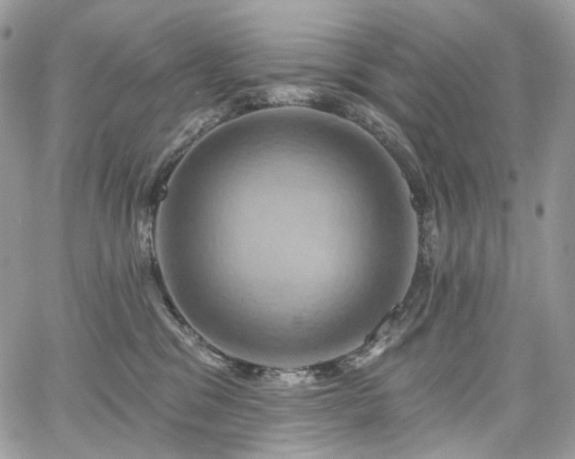 X0000068320329200604241345