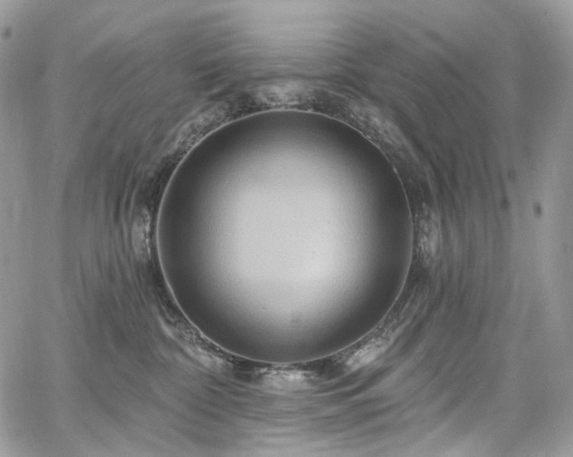 X0000068320332200604241345