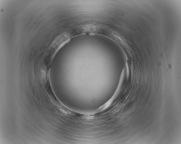 X0000068320333200604241345