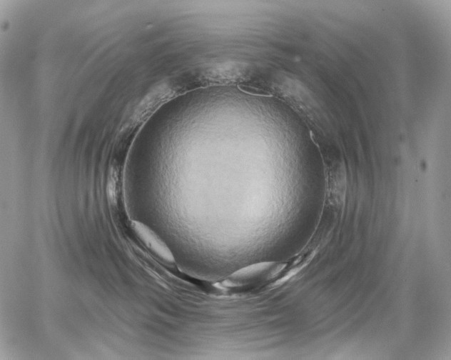 X0000068320334200604241345