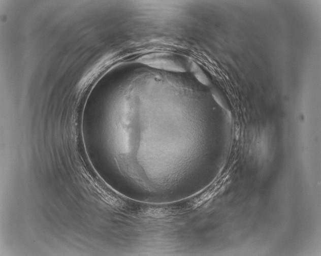 X0000068320341200604241344