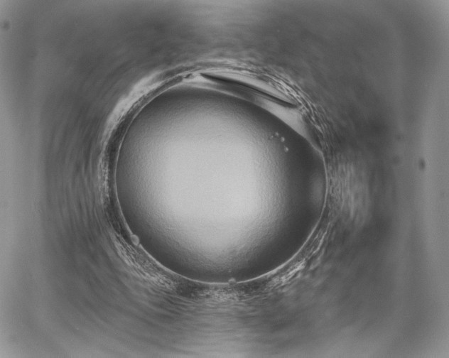 X0000068320343200604241344